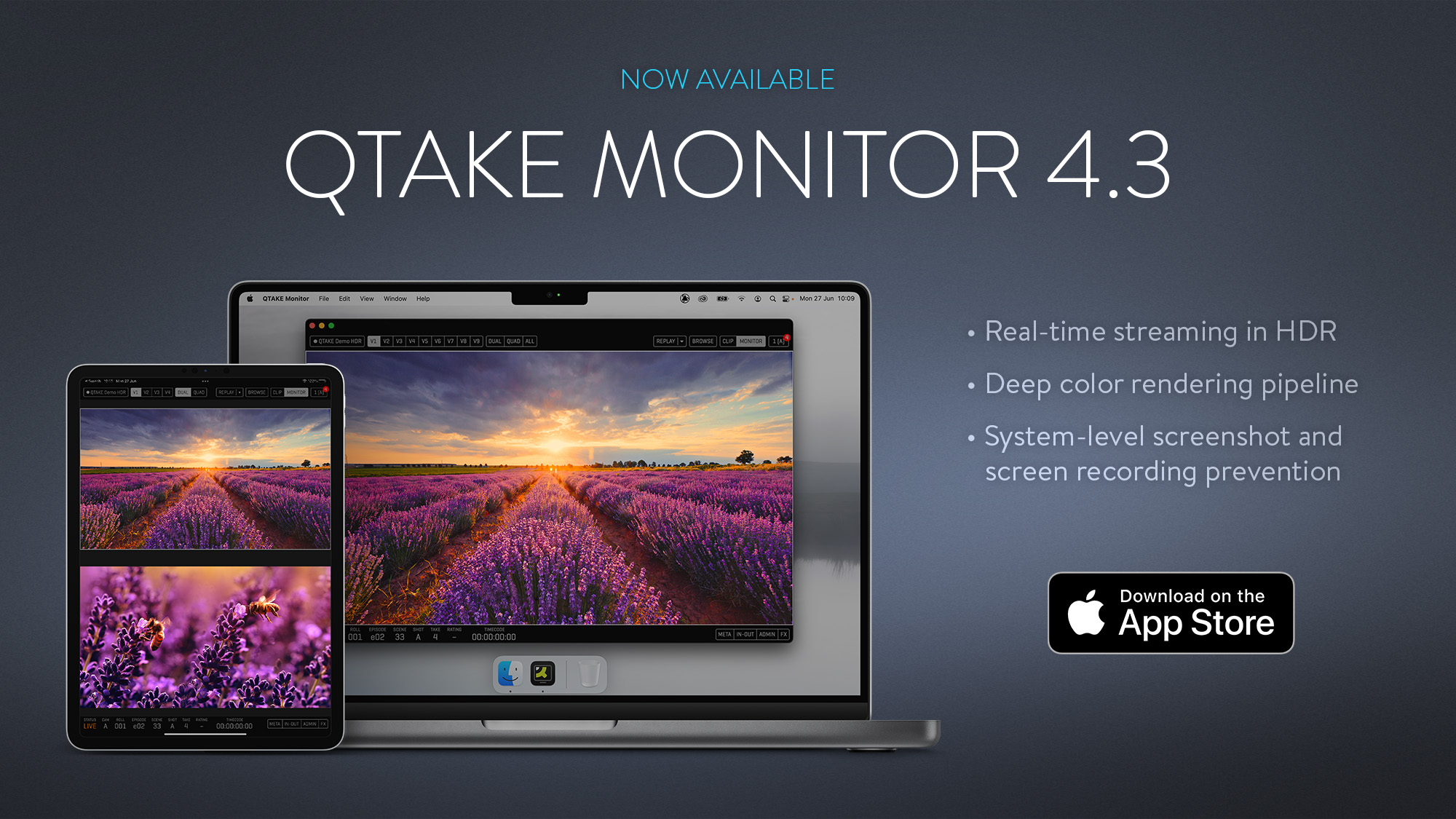 QTAKE Monitor 4.3
